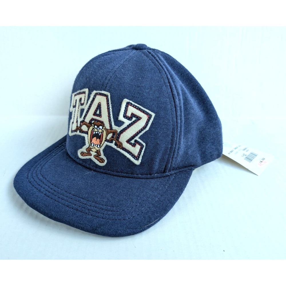 Vintage Taz Looney Tunes Hat NWT Tasmanian Devil Warner Bros Snapback Blue - Picture 1 of 8